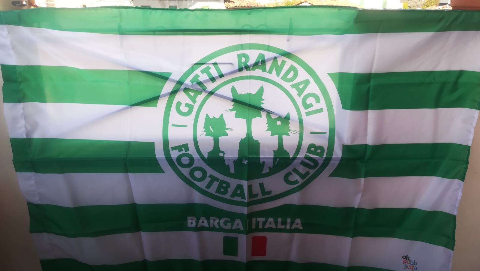 Bandiera Gatti Randagi FC
